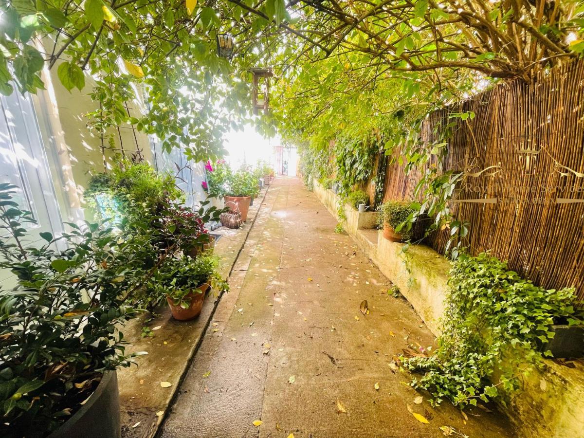 Le Jardin Croix Roussien Appartement Lyon Buitenkant foto
